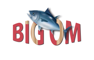 Logo BIG OM